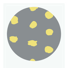 Load image into Gallery viewer, Iris: Grey-Yellow
