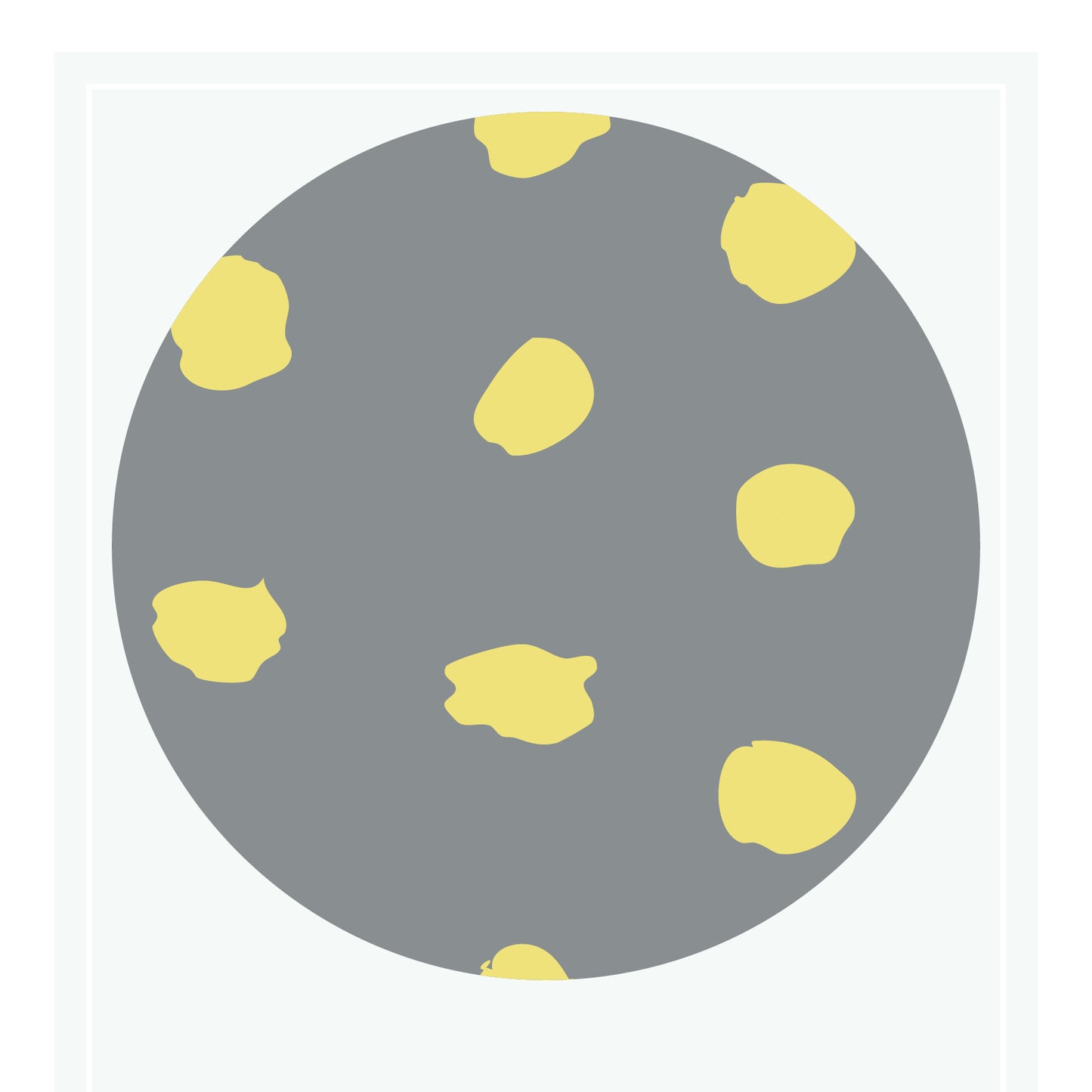 Nisa: Grey-Yellow